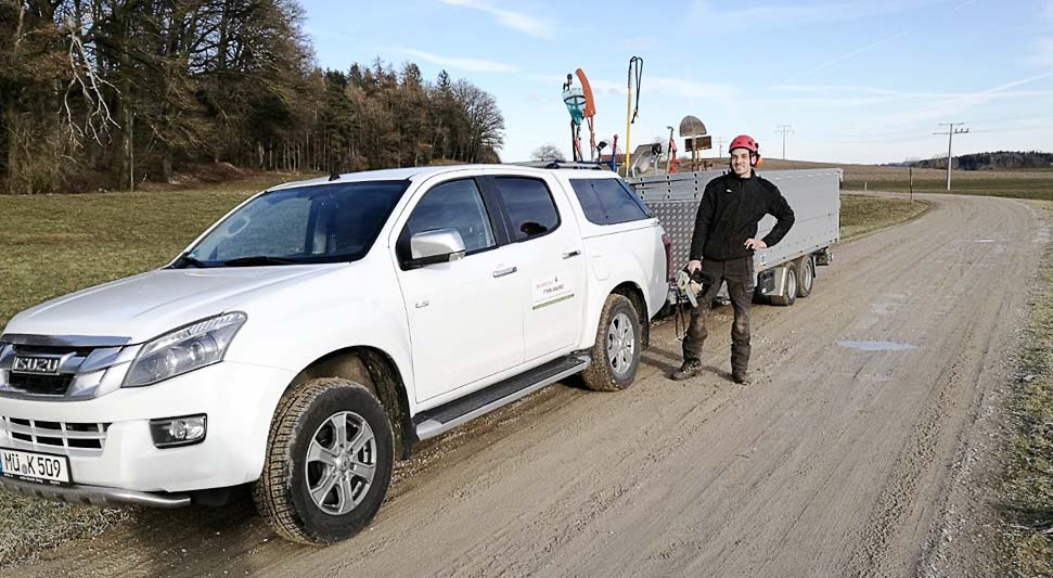 Baumpflege und Baumfällung